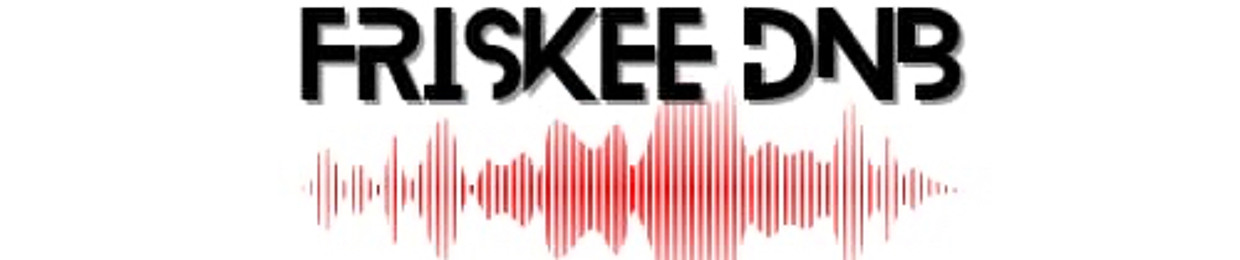 FRISKEE DnB