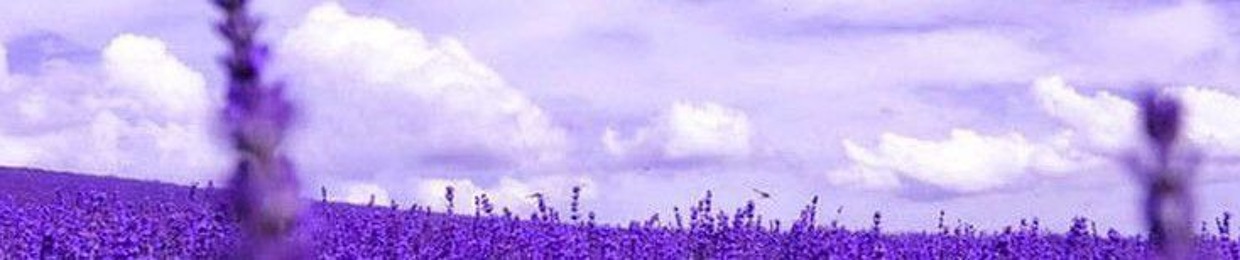 Lavender