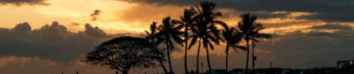 💛🌄🩷🎶✨🎹✨🎶🩷🌄💛