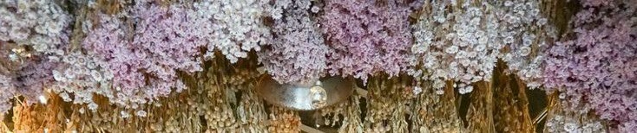 𝙈𝘢𝘭𝘢𝘤𝘩𝘪