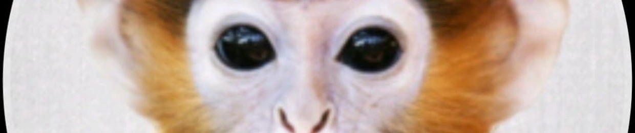 Bluudud