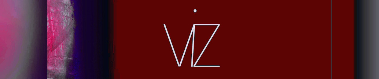 The Vizionary
