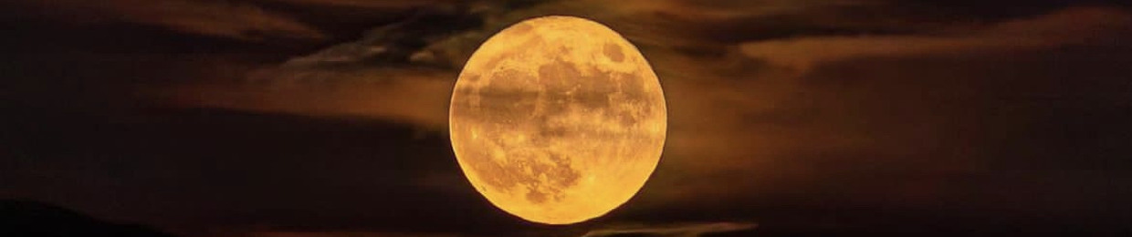 ᴾᴷ Ҝ丨ㄒ乙ㄖ几