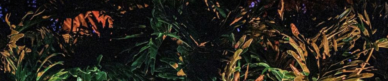 SUKOON 🅴🆃🅷🅽🅸🅲 🆄🅽🅳🅴🆁🅶🆁🅾🆄🅽🅳