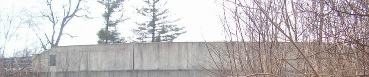 Riggsrail