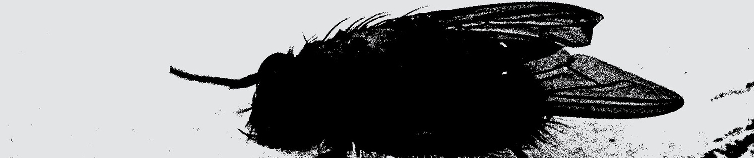 SoundCloud banner for @nutshell