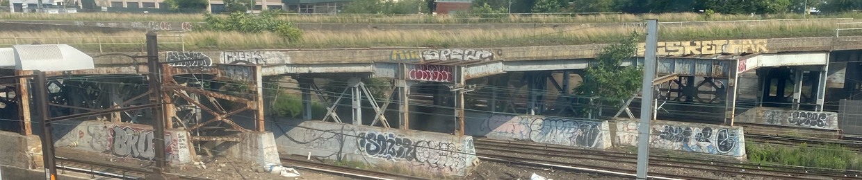 N813