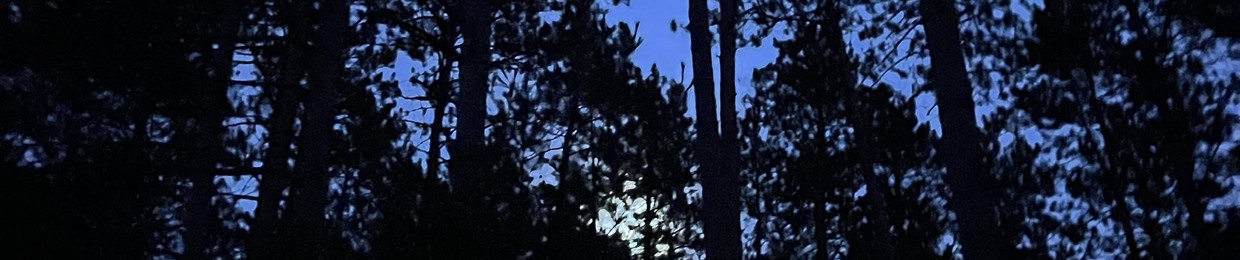 GREYISHERE (fka k.xxiv)