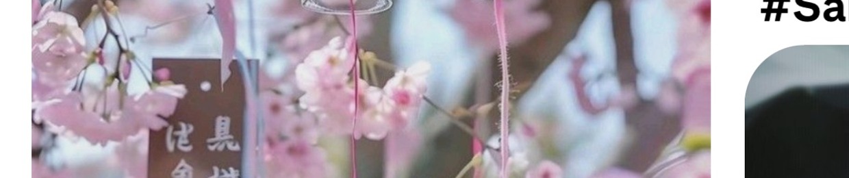 ソフィー