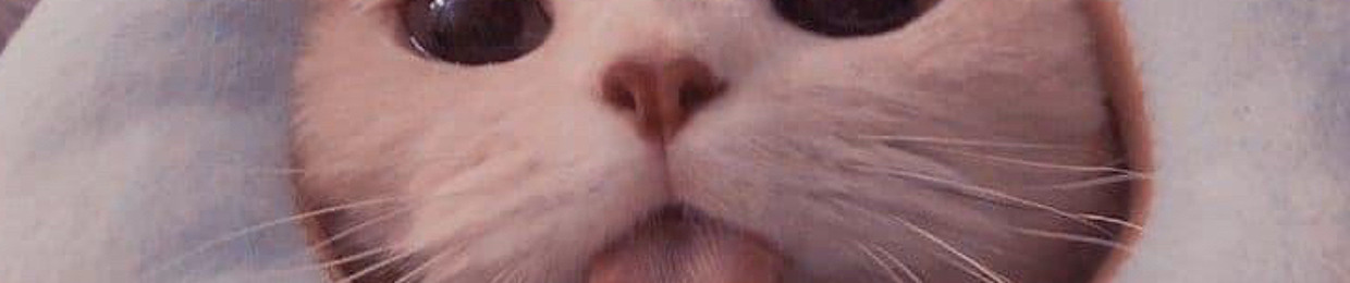 cat is the best