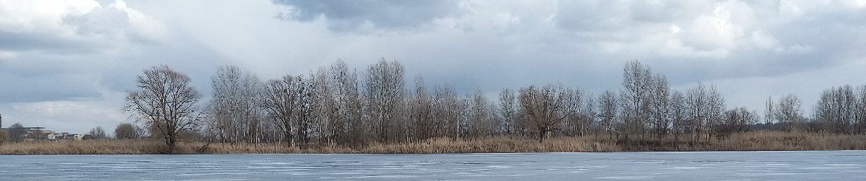 мечта кавказца