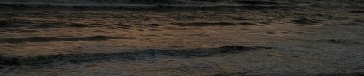 Mustafa Ahmed Aljoary