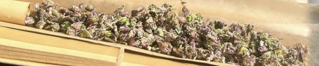 N🍁