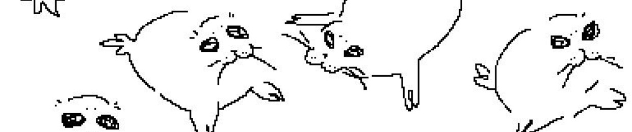 oceancat