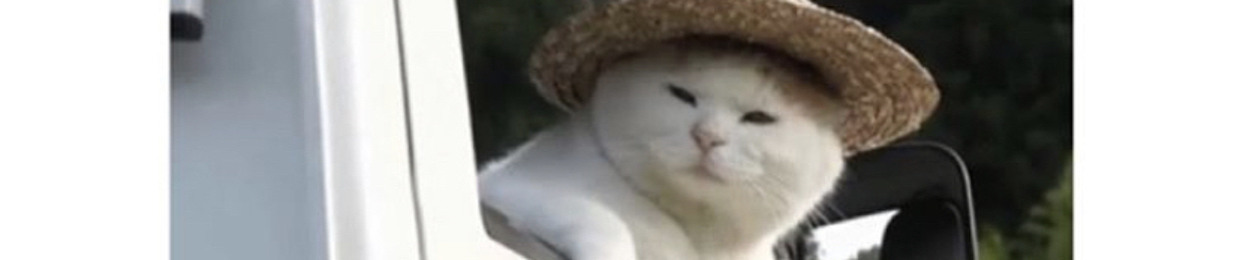 𝖊𝖑𝖑𝖞