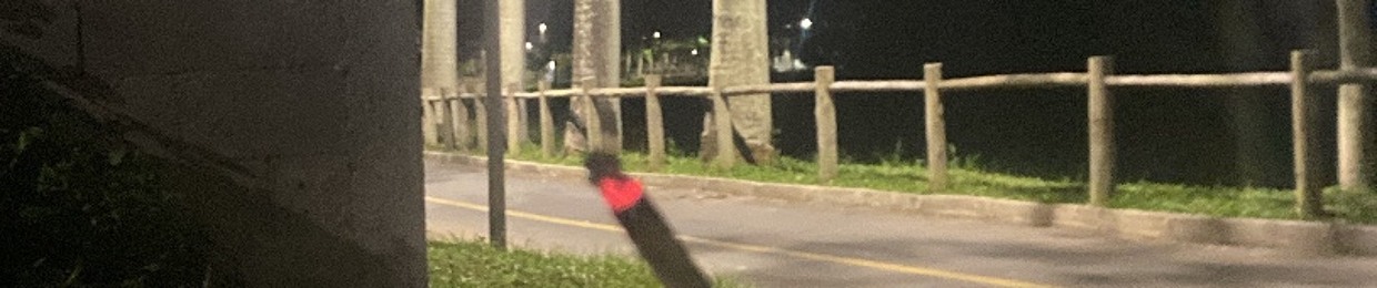 tn