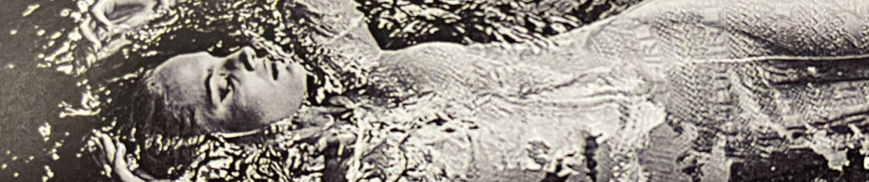 C33J