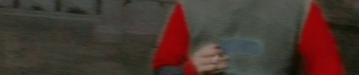 romisaaputra