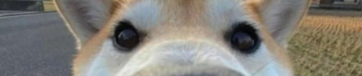 MrJosharooni