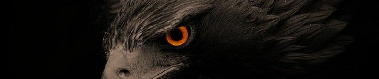 أحمد بو صقر