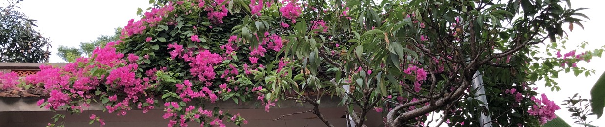 Nguyễn Đức Biên