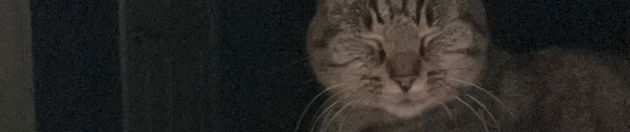 gin