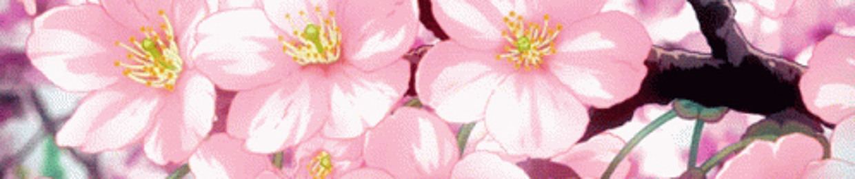 🌺Taro Yamada🌸