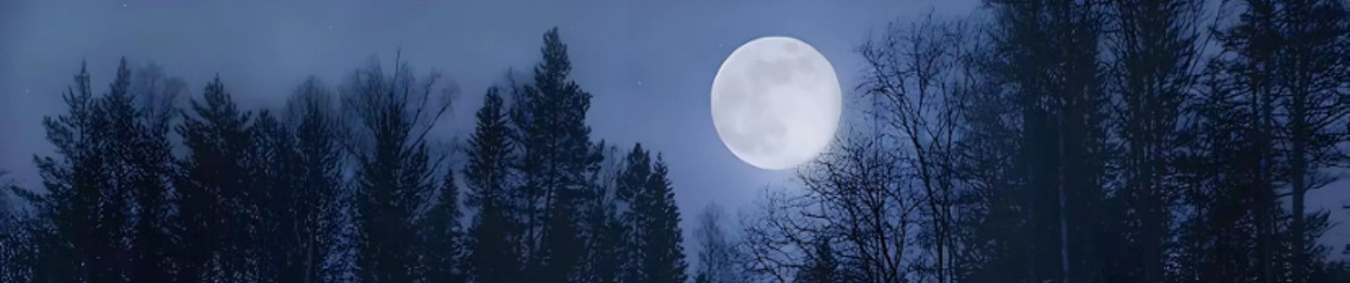 [🕷️]ᴇвᴀ вᴀйт #лсп #zxc #иуу