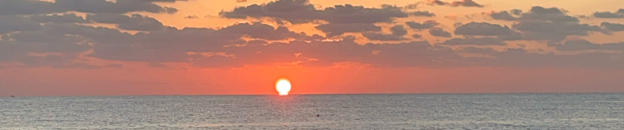 S U N