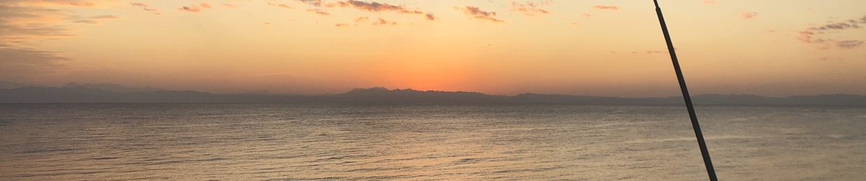 Mohammad Mostafa DȜader