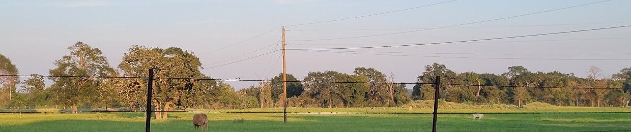 jeb