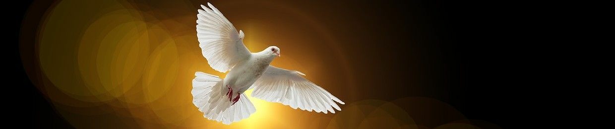 Pistas Cristianas 😀💐🇵🇷🌹🕊️🙏🎶🌺🪴💐🌹🥀🌻