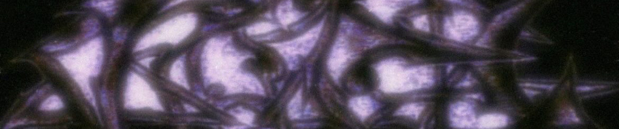 macro