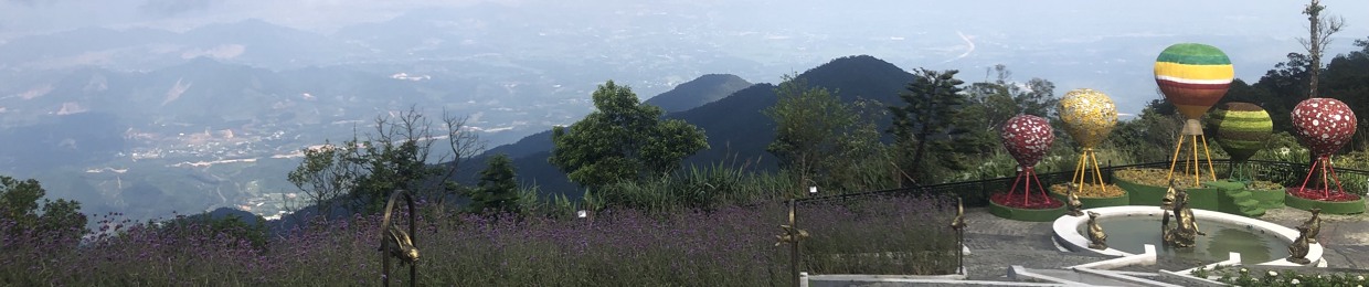 HiiiQuy