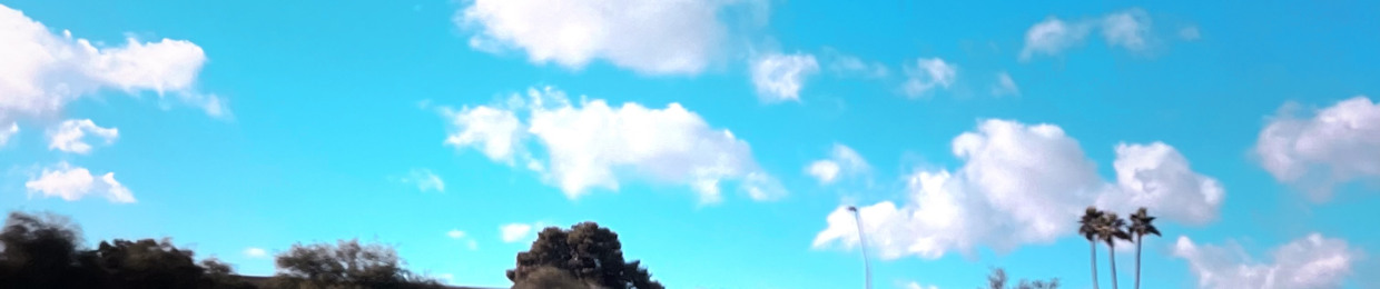 SkyDr0ps