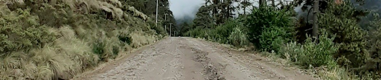 cerpintaxt