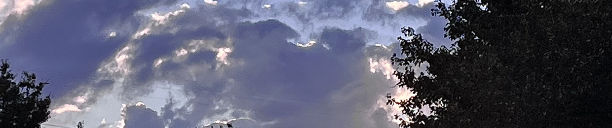 Aruu