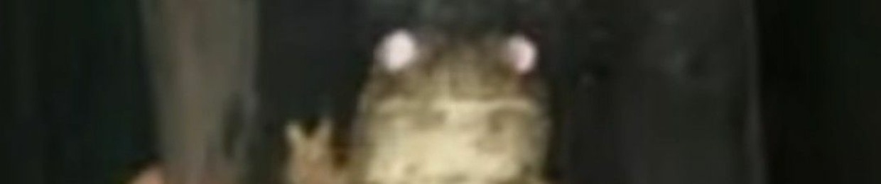 mejxj
