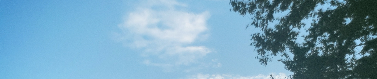 R_mstm