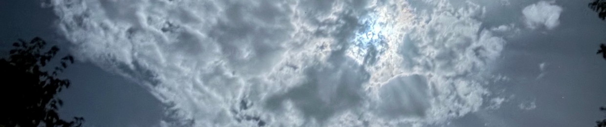 Alfredo Lara Brunatti