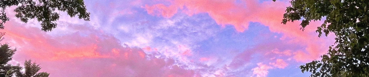 lilyhighsmith8