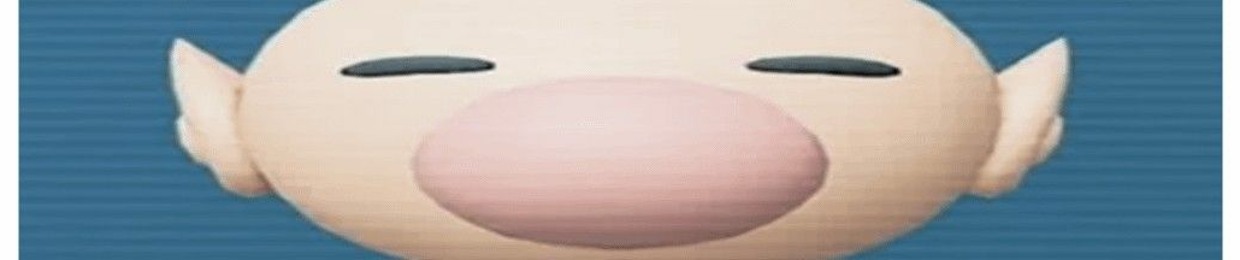 NMSparky