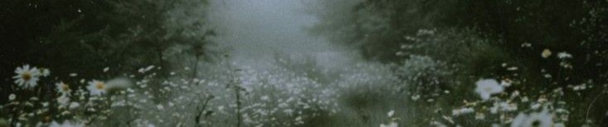 shakira_meyer_💜🌺