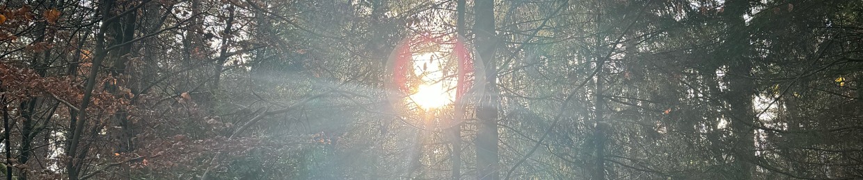 Waldfee🌲🌈🍀✨🌲🧚‍♂️🌳🎶💜🌲