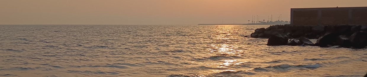شادن الرويلي