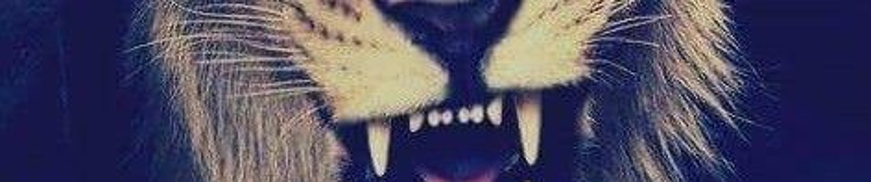 ＳｃＨｎ３ｔｔＴａＳｔｉＣ  ツ
