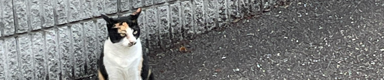 NA!なるみ(narumi)