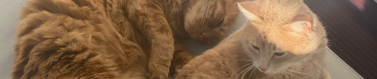 liza inst @lizrtvgn.img