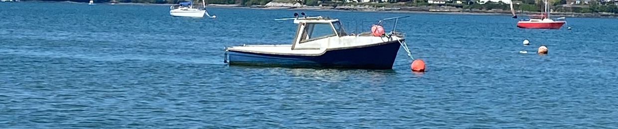 Matthewmccarthy635