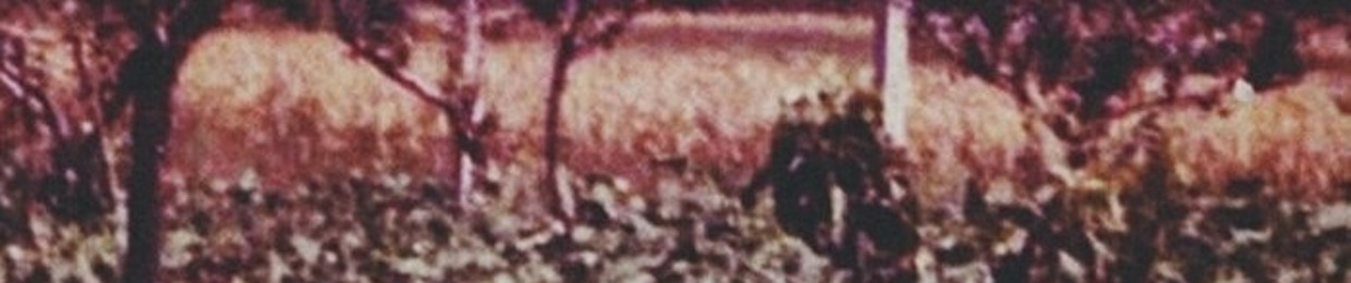 allister☣